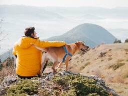 Andrew Eeten - You and Your Dog