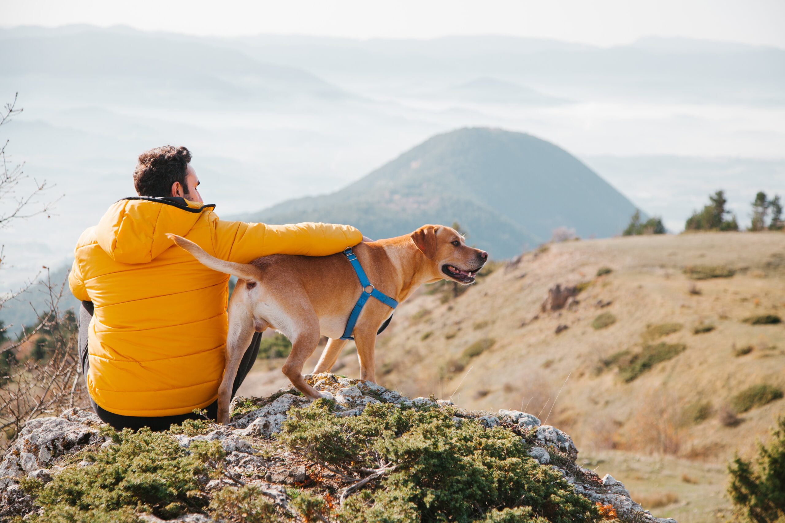 Andrew Eeten - You and Your Dog
