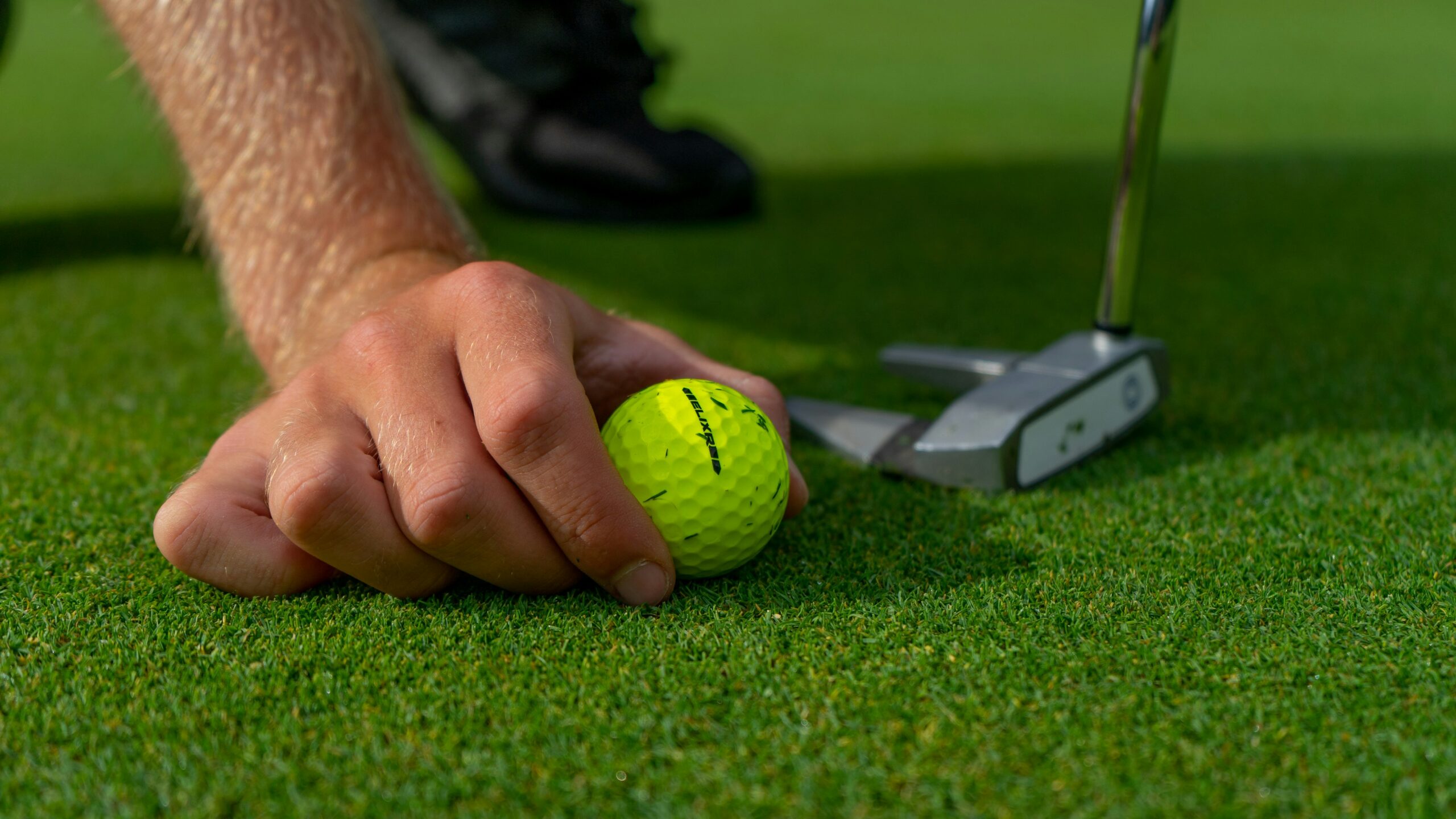 Finding Your Groove Practical Ways to Sharpen Your Disc Golf Throw