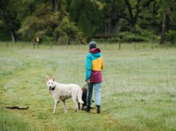 hiking with your dog